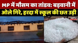 Weather Update: MP में मौसम का तांडव: Barwani में Hail गिरे | Seoni | Heatwave | MadhyaPradesh