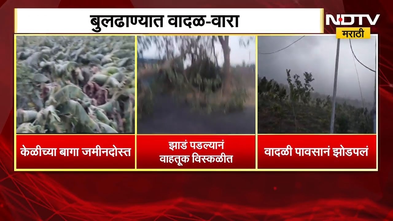 राज्यात ठिकठिकाणी पावसाच्या सरी, तर मुंबईत 8 ते 11 जूनदरम्यान मान्सून दाखल होणार | Rain Monsoon