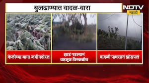 राज्यात ठिकठिकाणी पावसाच्या सरी, तर मुंबईत 8 ते 11 जूनदरम्यान मान्सून दाखल होणार | Rain Monsoon