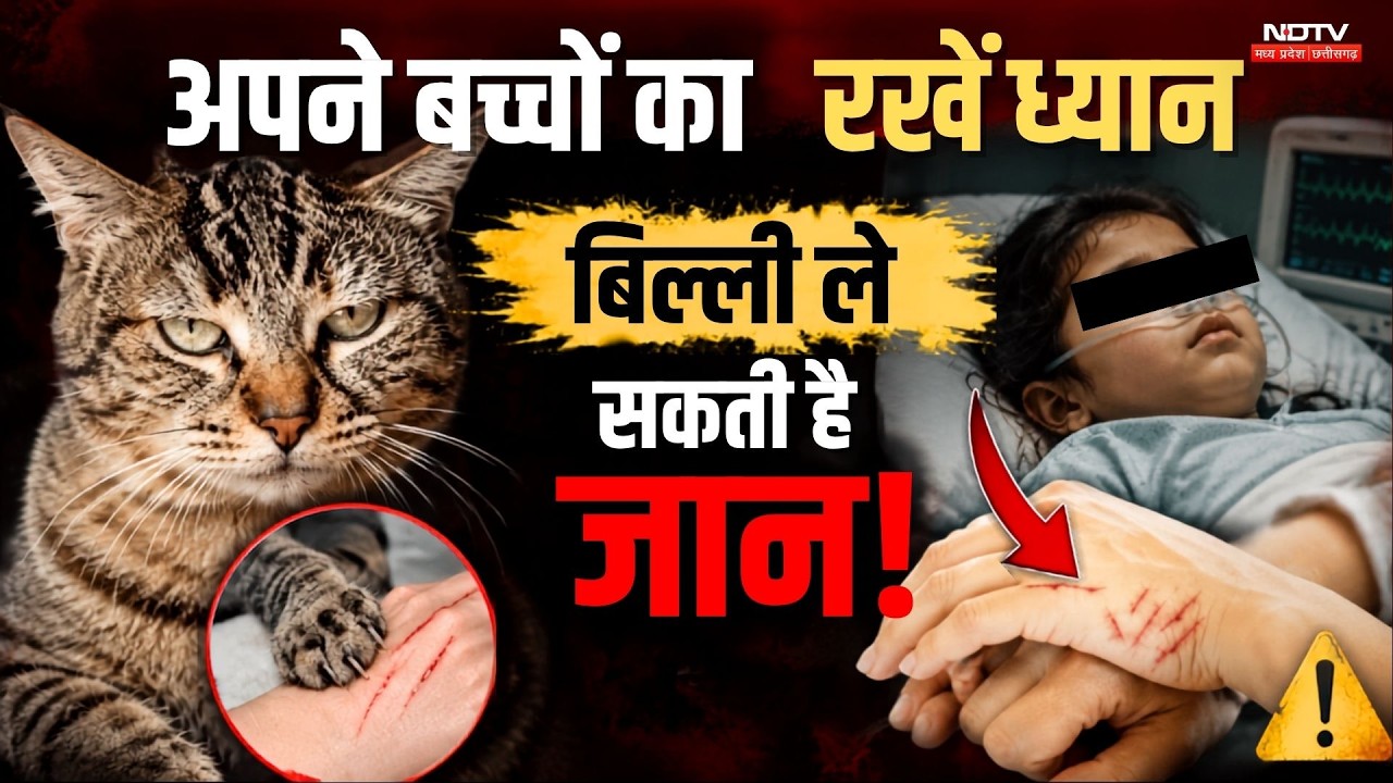 Gwalior Rabies Death Case: Domestic Animal खतरनाक! Cat की खरोंच से बच्चे की कैसे हुई मौत?