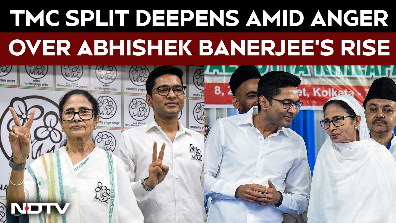 Mamata Loyalists Revolt, Questions Raised Over Abhishek's Growing Role