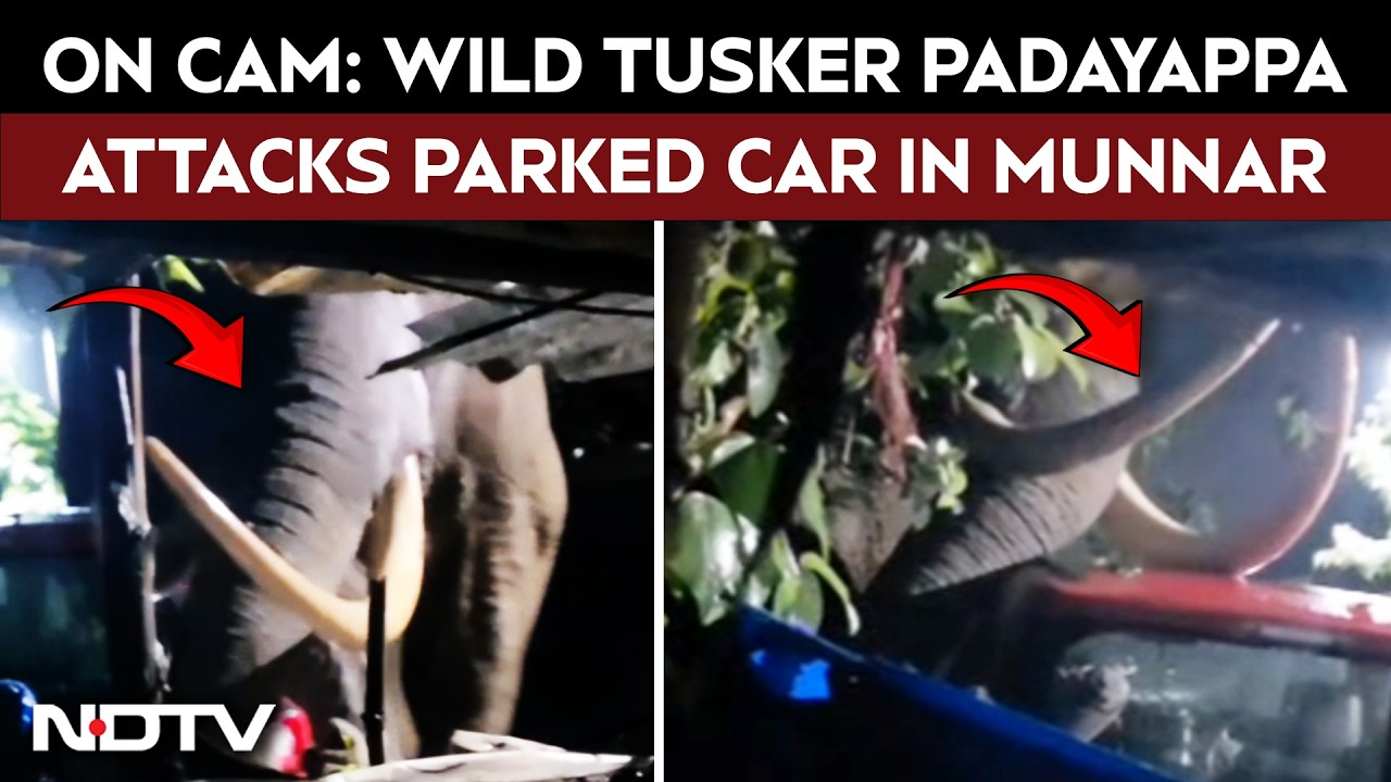 On Cam: Wild Tusker Padayappa Attacks Parked Car in Munnar