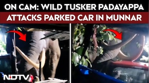 On Cam: Wild Tusker Padayappa Attacks Parked Car in Munnar