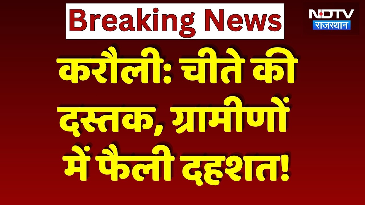 Cheetah in Karauli: कूनो के चीता KP3 ने किया 5 भेड़ों का शिकार, ग्रामीणों में दहशत! Breaking News