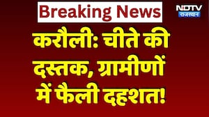 Cheetah in Karauli: कूनो के चीता KP3 ने किया 5 भेड़ों का शिकार, ग्रामीणों में दहशत! Breaking News