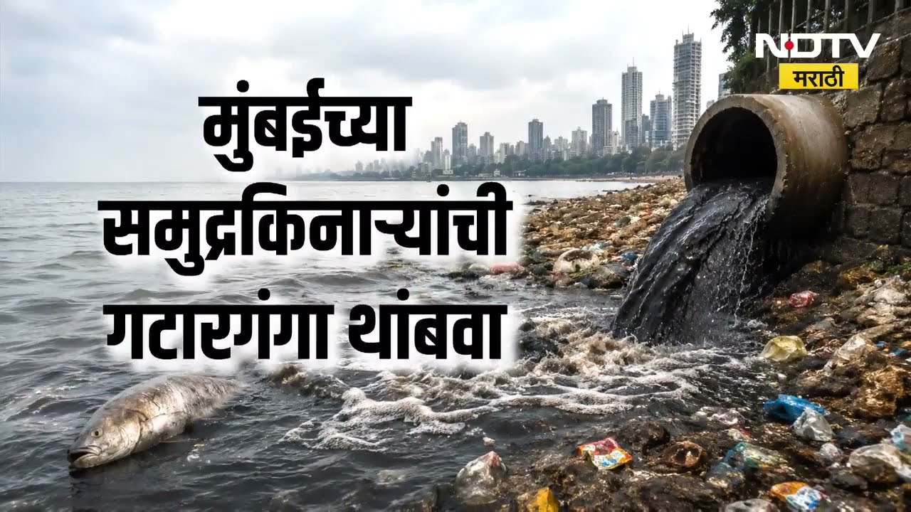 Special Report | मुंबईतील समुद्रांचं सांडपाण्यामुळे सर्वाधिक नुकसान होतंय, सुधारणा करण्याची गरज