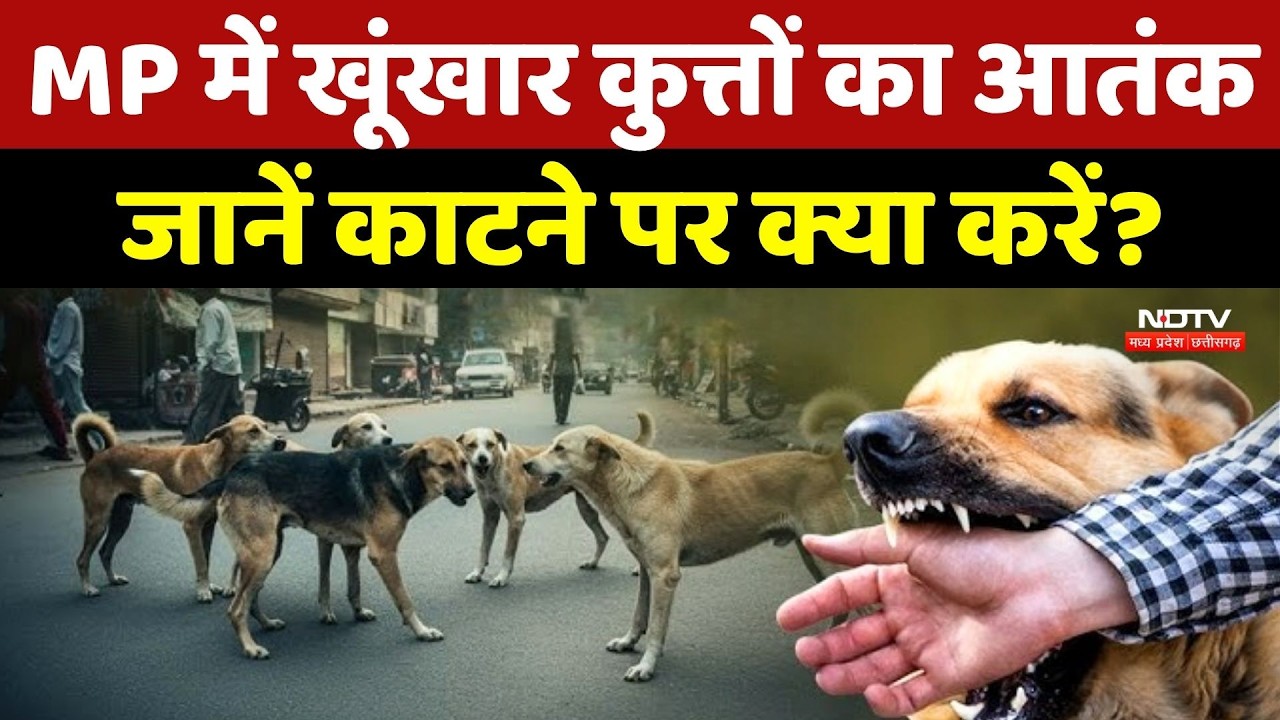 Dog Attack In MP: खूंखार कुत्तों का आतंक, जानें काटने पर क्या करें?