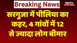 Surguja News: मैनपाट में पीलिया का कहर, 4 गांवों में दहशत, 4 की मौत की खबर! Breaking | Top News