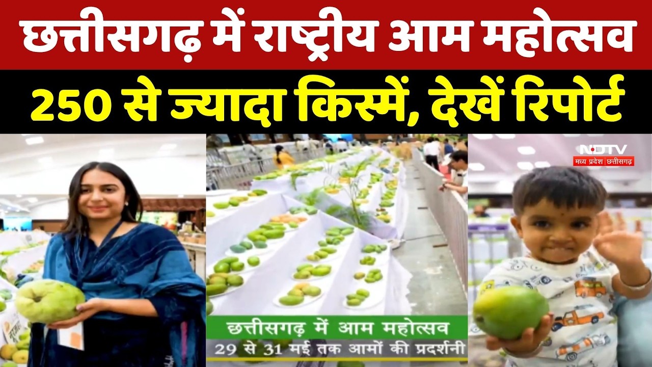 Raipur Mango Festival 2026: 250 से ज्यादा किस्में, किसानों को मिली नई तकनीक और बाजार की जानकारी