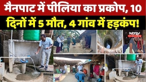 Ambikapur Jaundice Outbreak: Mainpat में पीलिया का हड़कंप, 10 दिनों में 5 मौतें! 4 गांवों में दहशत