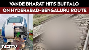Vande Bharat Express Strikes Buffalo on Hyderabad&ndash;Bengaluru Route