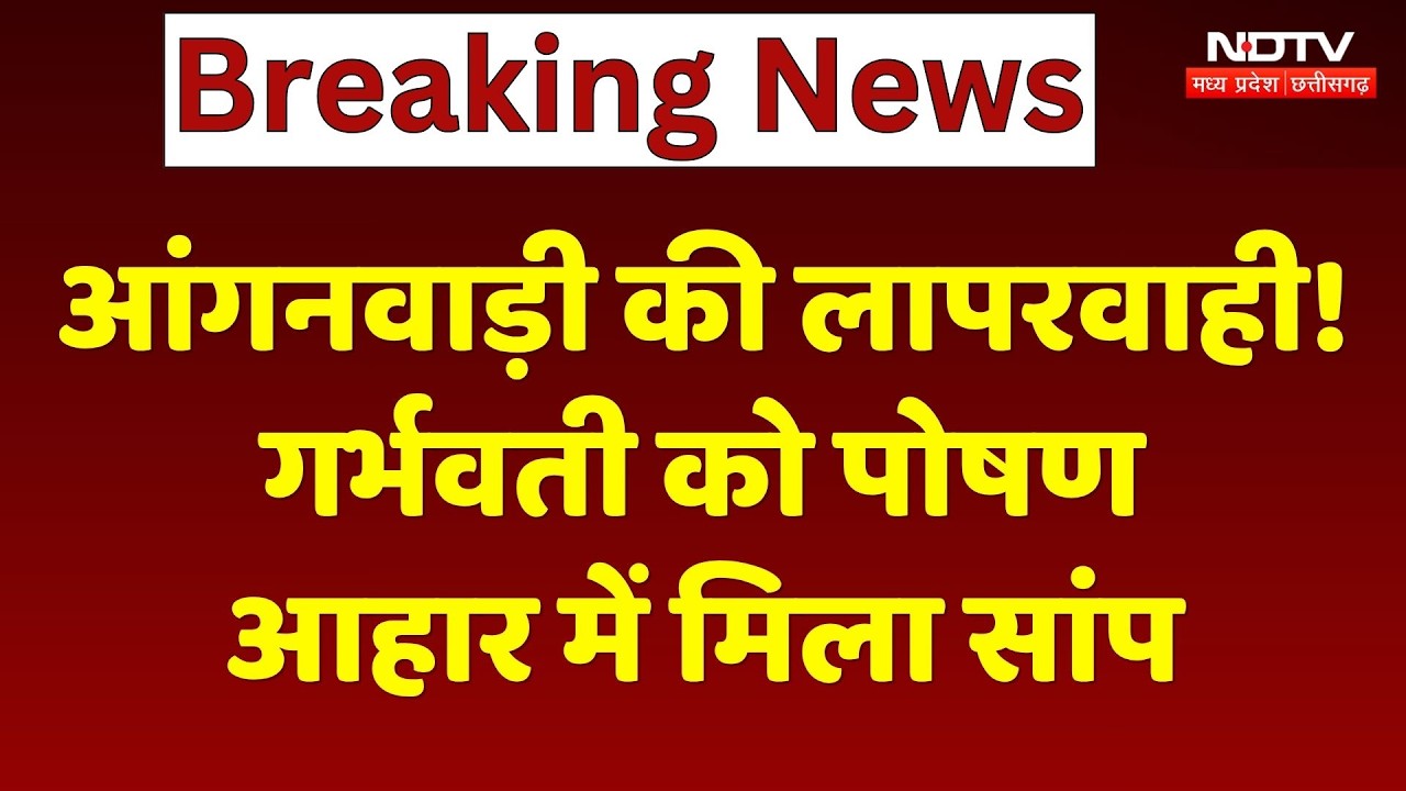 MP News: आंगनवाड़ी की लापरवाही! गर्भवती को पोषण आहार में मिला सांप। Top News । Breaking News । NDTV