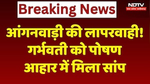 MP News: आंगनवाड़ी की लापरवाही! गर्भवती को पोषण आहार में मिला सांप। Top News । Breaking News । NDTV
