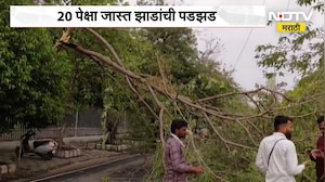 Amravati Rain Updates | मुसळधार पावसामुळे अमरावतीत 20 पेक्षा जास्त झाडांची पडझड