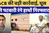 Kotputli News: ACB की बड़ी कार्रवाई, घूस लेते पटवारी रंगे हाथों Arrested | Breaking News