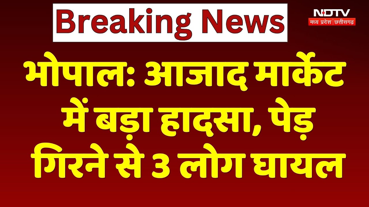 Azad Market Bhopal Accident: आजाद मार्केट में बड़ा हादसा, अचानक गिरा पेड़, 3 लोग हुए घायल
