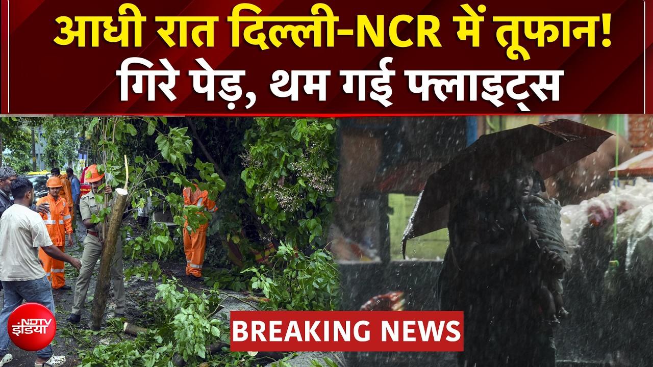 आधी रात दिल्ली-NCR में तूफान! गिरे पेड़, थम गई फ्लाइट्स