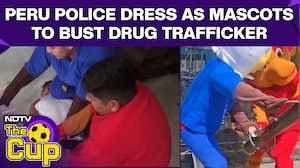 Football World Cup 2026: Peru Police Dress As FIFA World Cup Mascot To Bust Drug Trafficker