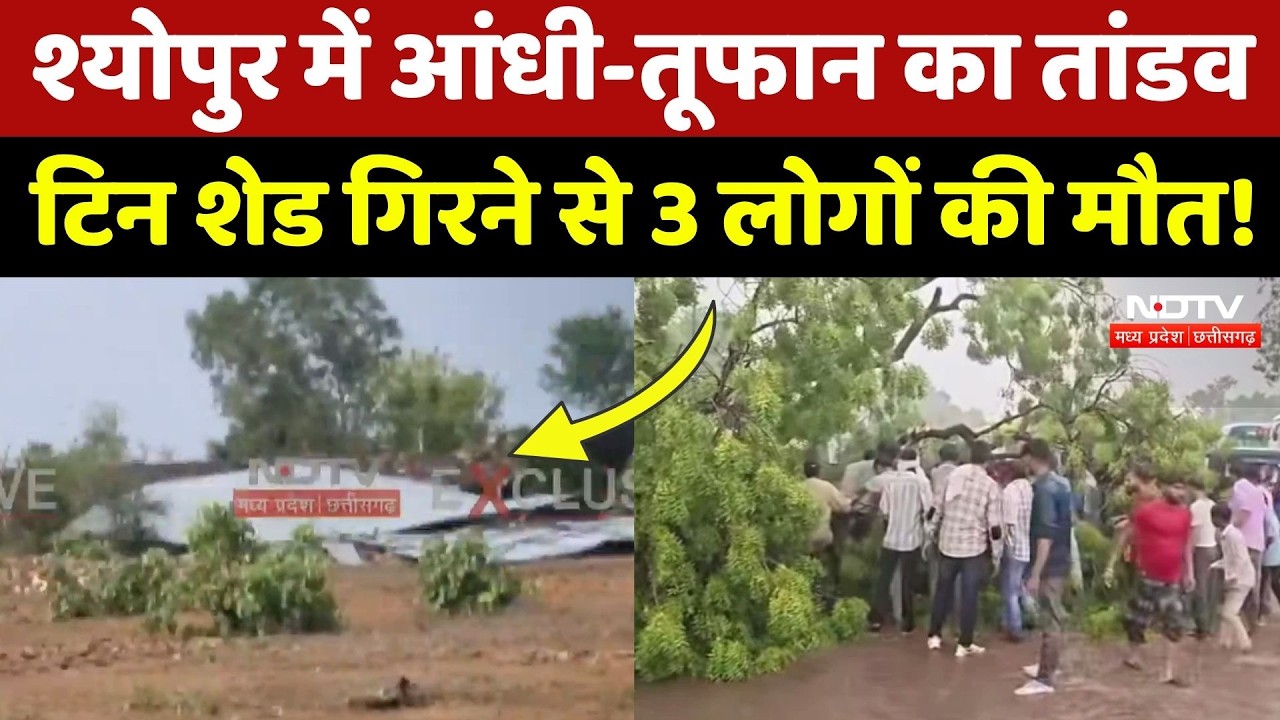 Heavy Rain in Sheopur: आंधी-तूफान ने ली 3 लोगों की जान,  इलाके में पसरा मातम! Weather Update | MP