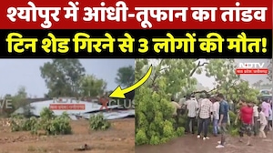 Heavy Rain in Sheopur: आंधी-तूफान ने ली 3 लोगों की जान,  इलाके में पसरा मातम! Weather Update | MP