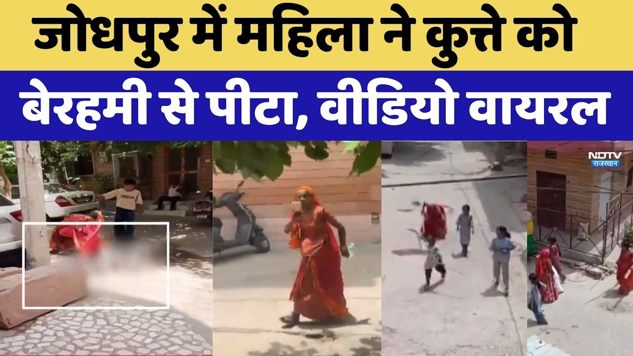 जोधपुर में महिला ने कुत्ते को बेरहमी से पीटा, वीडियो वायरल। Top News। Latest