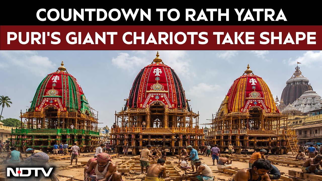 Jagannath Rath Yatra: Chariot Construction Picks Up Pace With 1 Month Left for Rath Yatra
