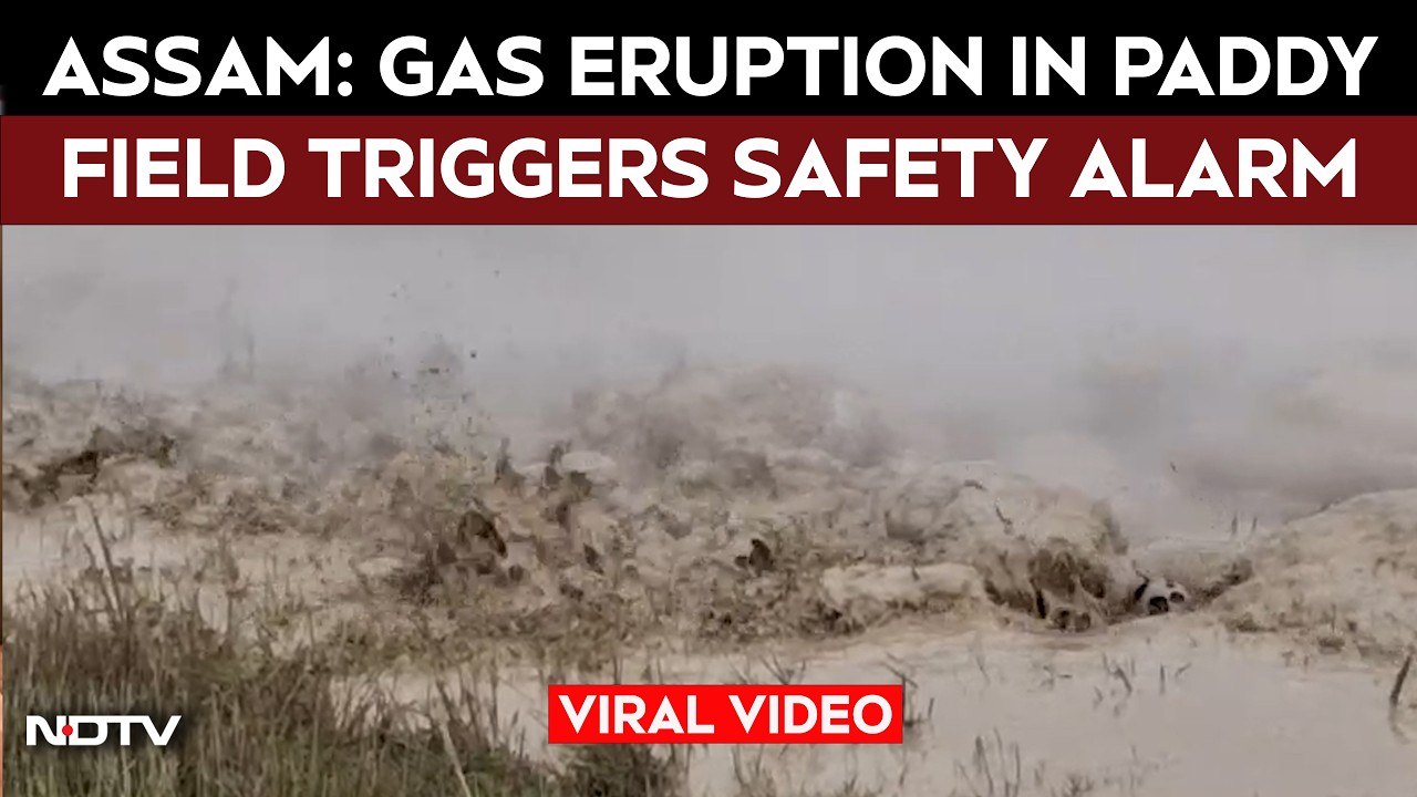 Viral Video | Gas Eruption in Paddy Field Triggers Safety Alarm in Assam