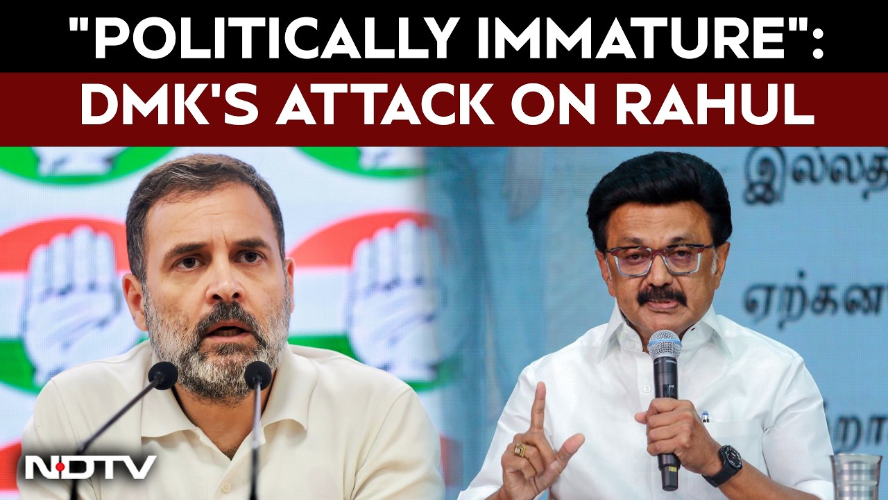 "A Big Joke, Politically Immature": DMK's All-Out Attack On Rahul Gandhi
