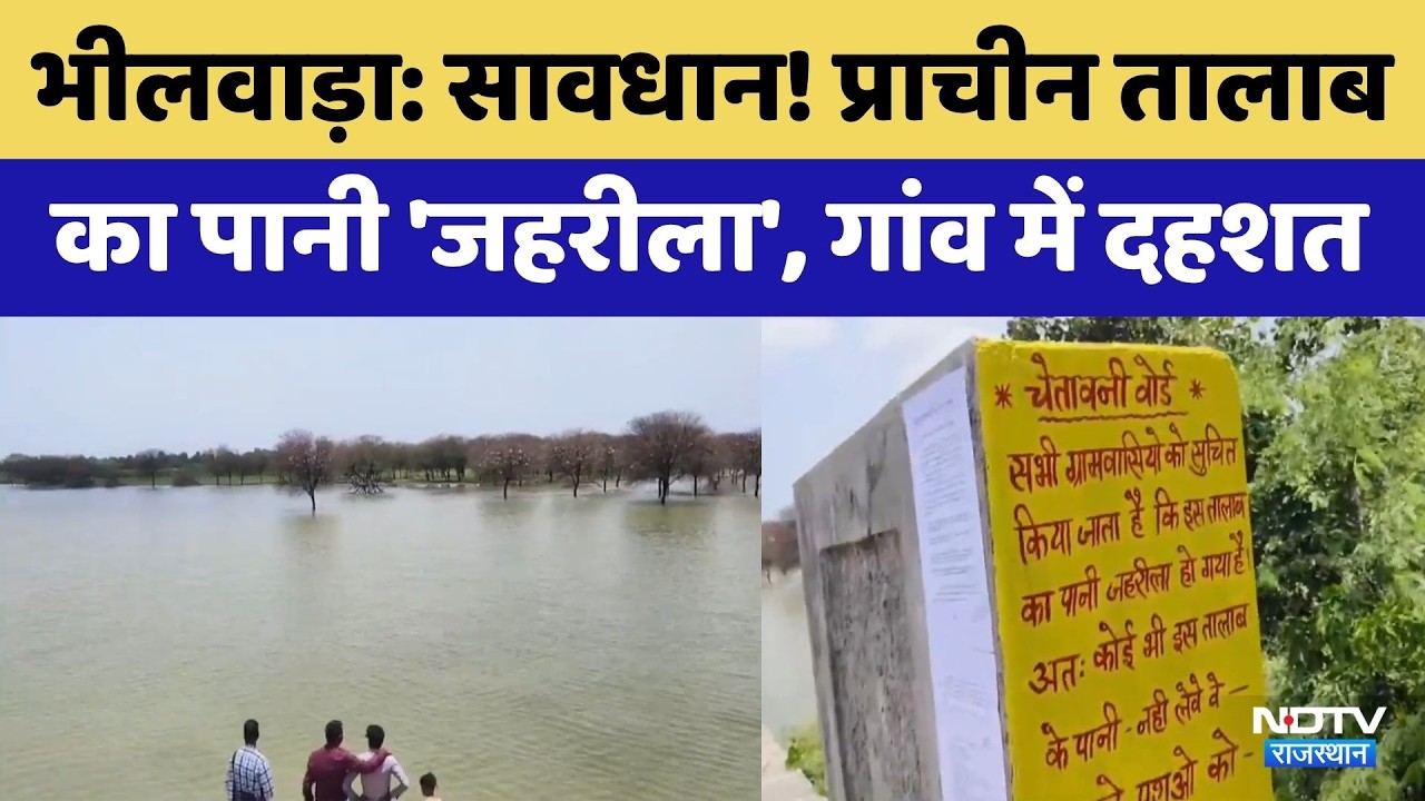 Bhilwara News: प्राचीन Pond का पानी हुआ 'जहरीला' | Breaking | Rajasthan News | PHED | Top News