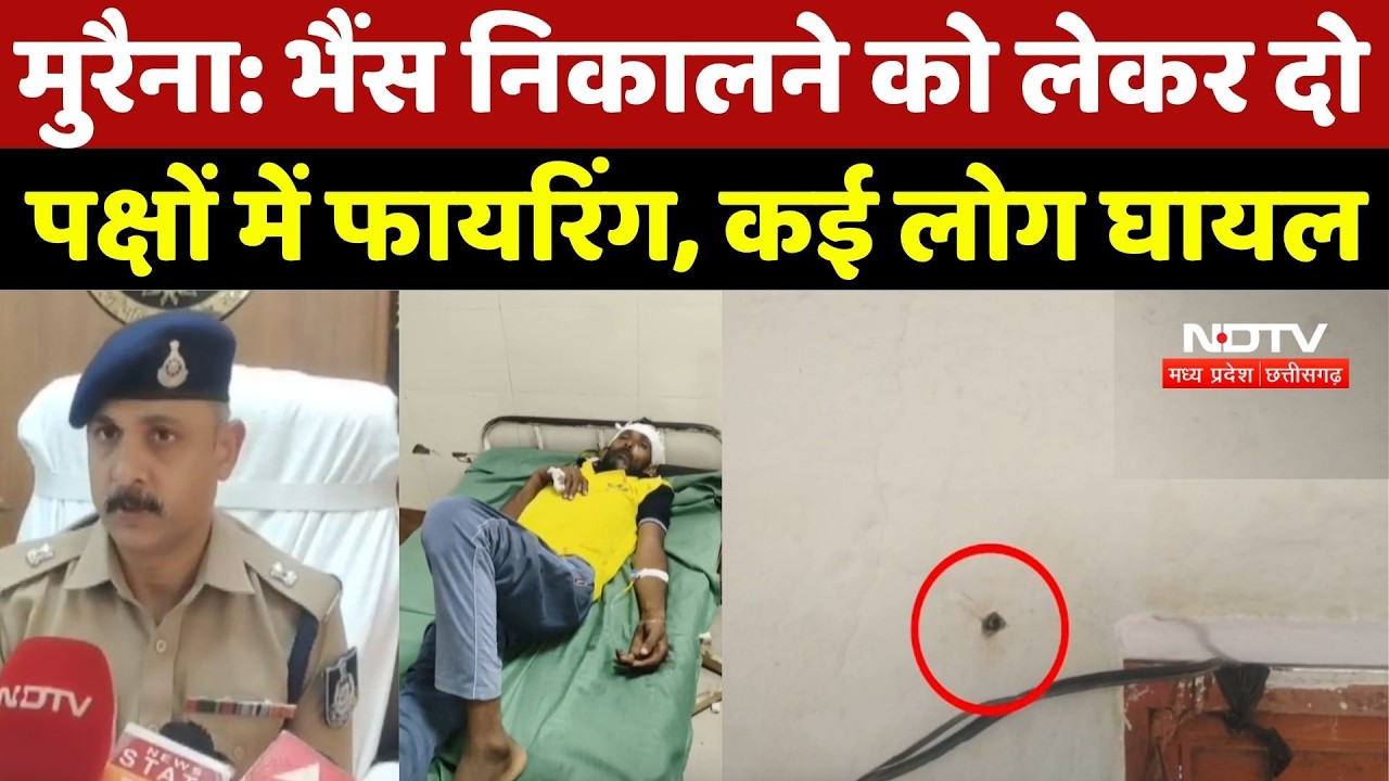 Morena Firing News: भैंस निकालने को लेकर दो पक्षों में फायरिंग, कई लोग घायल | Crime | Breaking News