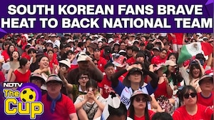 South Korean Fans Defy Summer Heat Despite Mexico Defeat