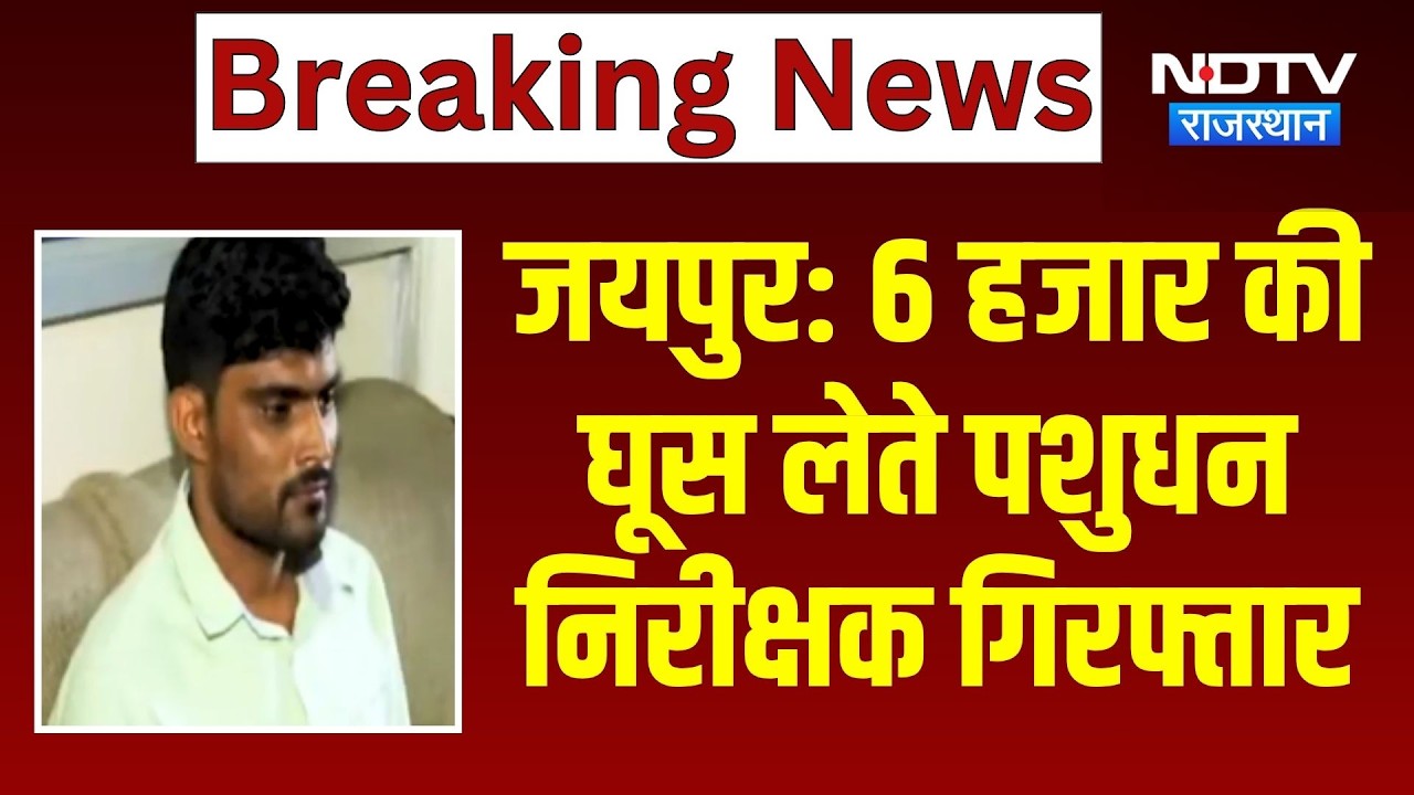 Jaipur Nagar Nigam में ACB की कार्रवाई, 6 हजार की घूस लेते पशुधन निरीक्षक गिरफ्तार