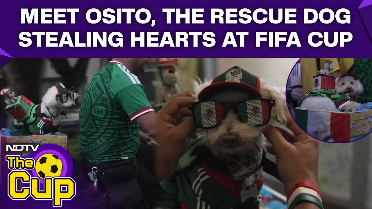 FIFA World Cup 2026 | Meet Osito, The Bicycle-Riding Rescue Stealing The Show At FIFA World Cup