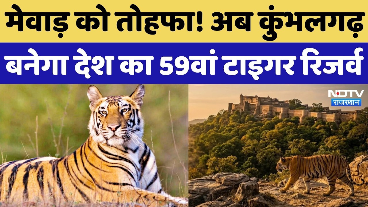 Kumbhalgarh Tiger Reserve: 30 साल का इंतज़ार खत्म! राजस्थान को मिला छठा टाइगर रिजर्व! Rajasthan News