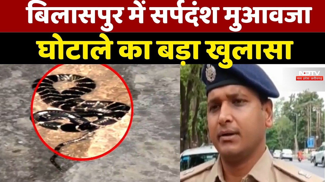 Snake Bite Compensation Scam: फर्जी दस्तावेजों से करोड़ों का खेल, 14 FIR दर्ज