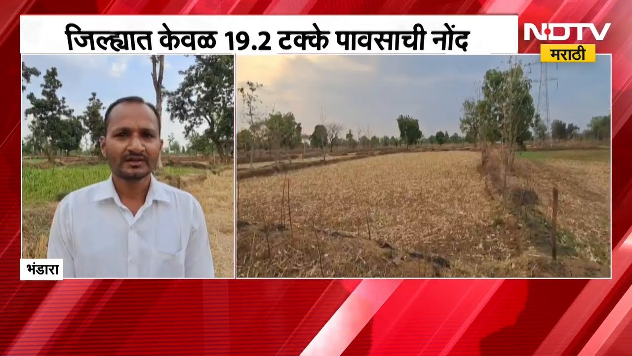 'एल निनो'मुळे भंडारा जिल्ह्यात 'ड्राय स्पेल'चे सावट | NDTV मराठी