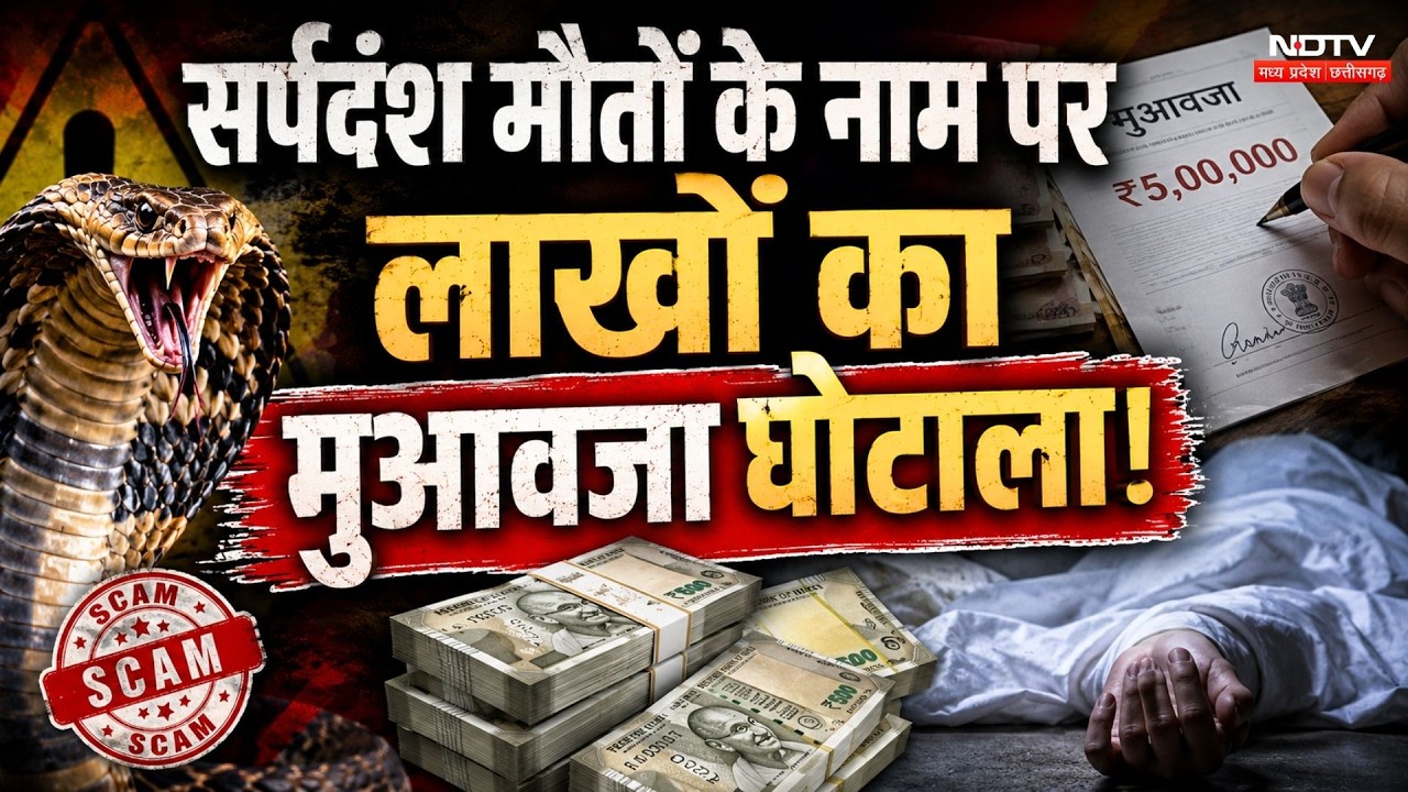 Snakebite Scam Bilaspur: सर्पदंश मौतों के नाम पर लाखों का मुआवजा घोटाला!