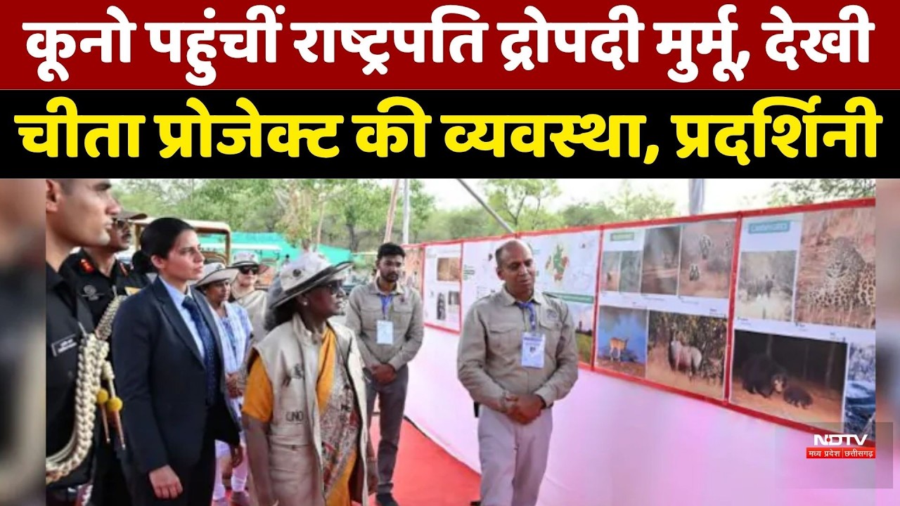 Kuno Cheetah Project: कूनो पहुंचीं राष्ट्रपति द्रोपदी, देखी चीता प्रोजेक्ट की व्यवस्था, प्रदर्शिनी