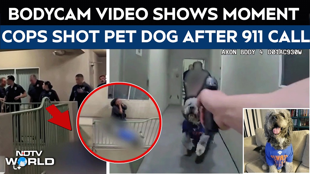 Bodycam Footage | On Cam: Moment LAPD Officers Shot Pet Dog Dead After 911 Call