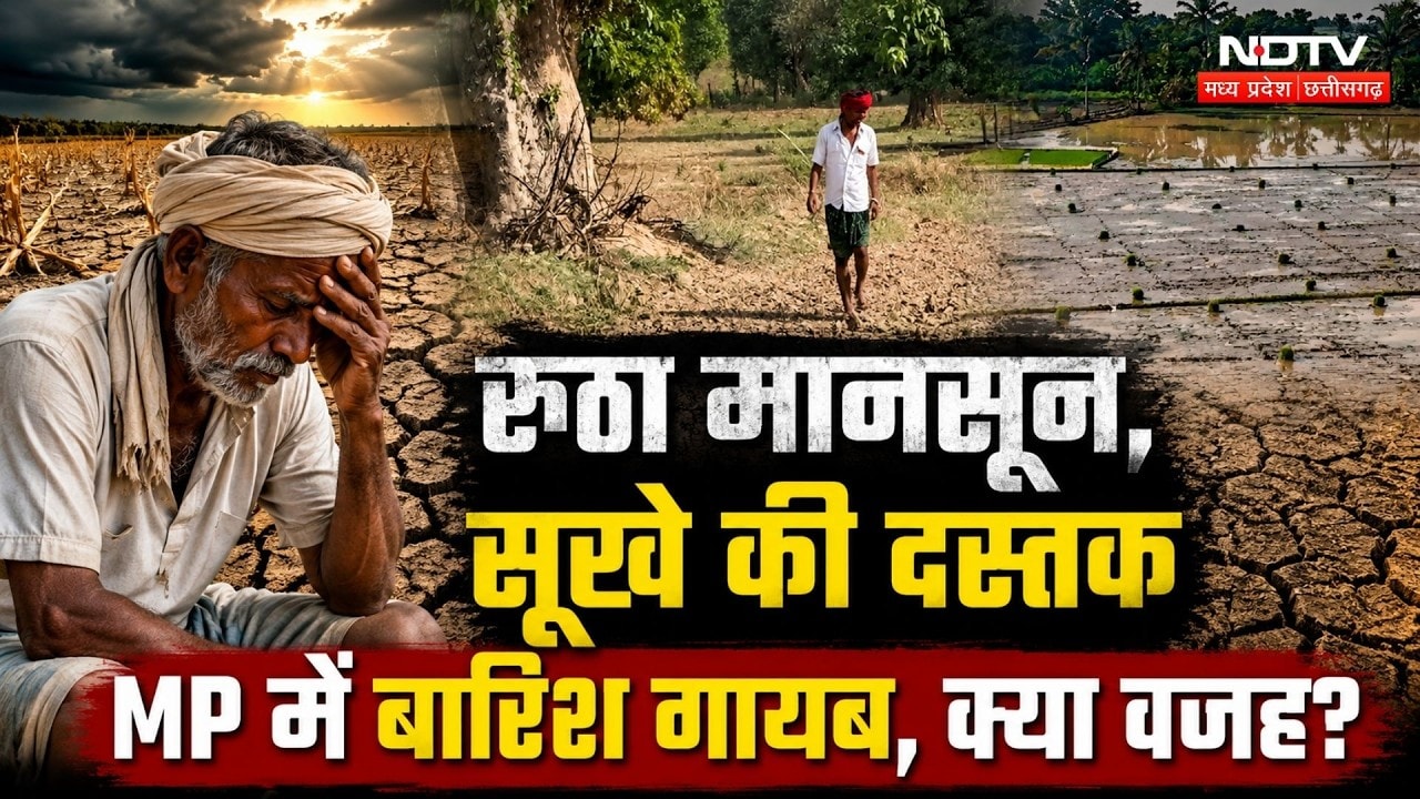 MP Weather Update: वेयरहाउस निरीक्षण पर सियासत तेज, जांच या सियासी प्रहार?। Jitu Patwari । MP News