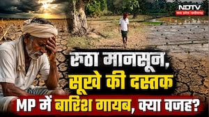MP Weather Update: वेयरहाउस निरीक्षण पर सियासत तेज, जांच या सियासी प्रहार?। Jitu Patwari । MP News