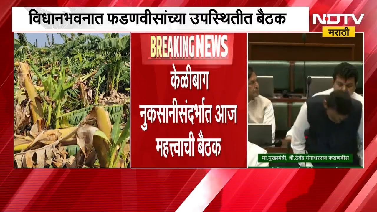 केळीबाग नुकसानीसंदर्भात CM Devendra Fadnavis यांच्या उपस्थितीत होणार बैठक | NDTV मराठी