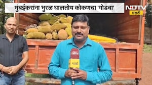 Konkan News | Jackfruit | मुंबईकरांना भुरळ घालतोय कोकणचा 'गोडवा', बाजारपेठेत फणसाची मोठी आवक