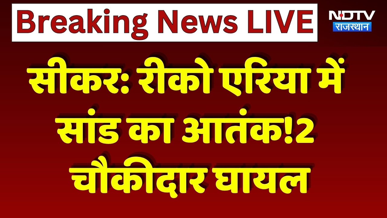 Sikar Bull Attack: रीको एरिया में सांड का आतंक, 2 चौकीदारों को किया घायल। Top Breaking News । NDTV