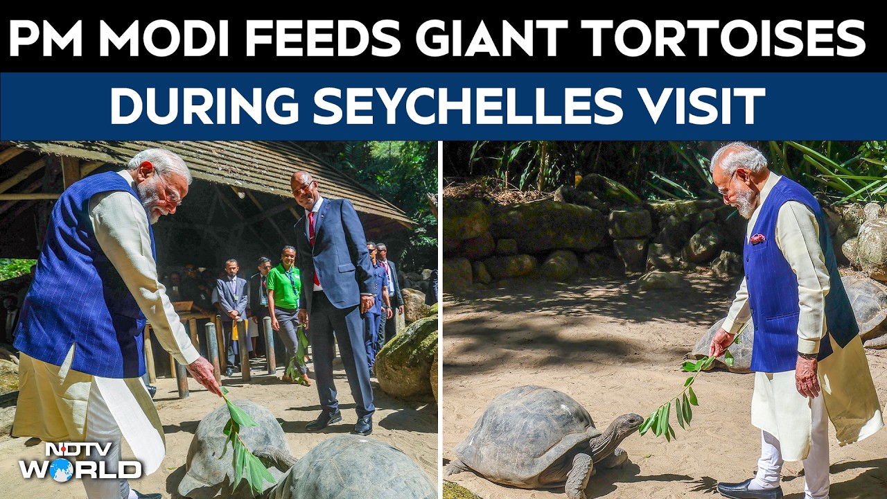 PM Modi Feeds Giant Tortoises During Memorable Visit to Seychelles Botanical Garden