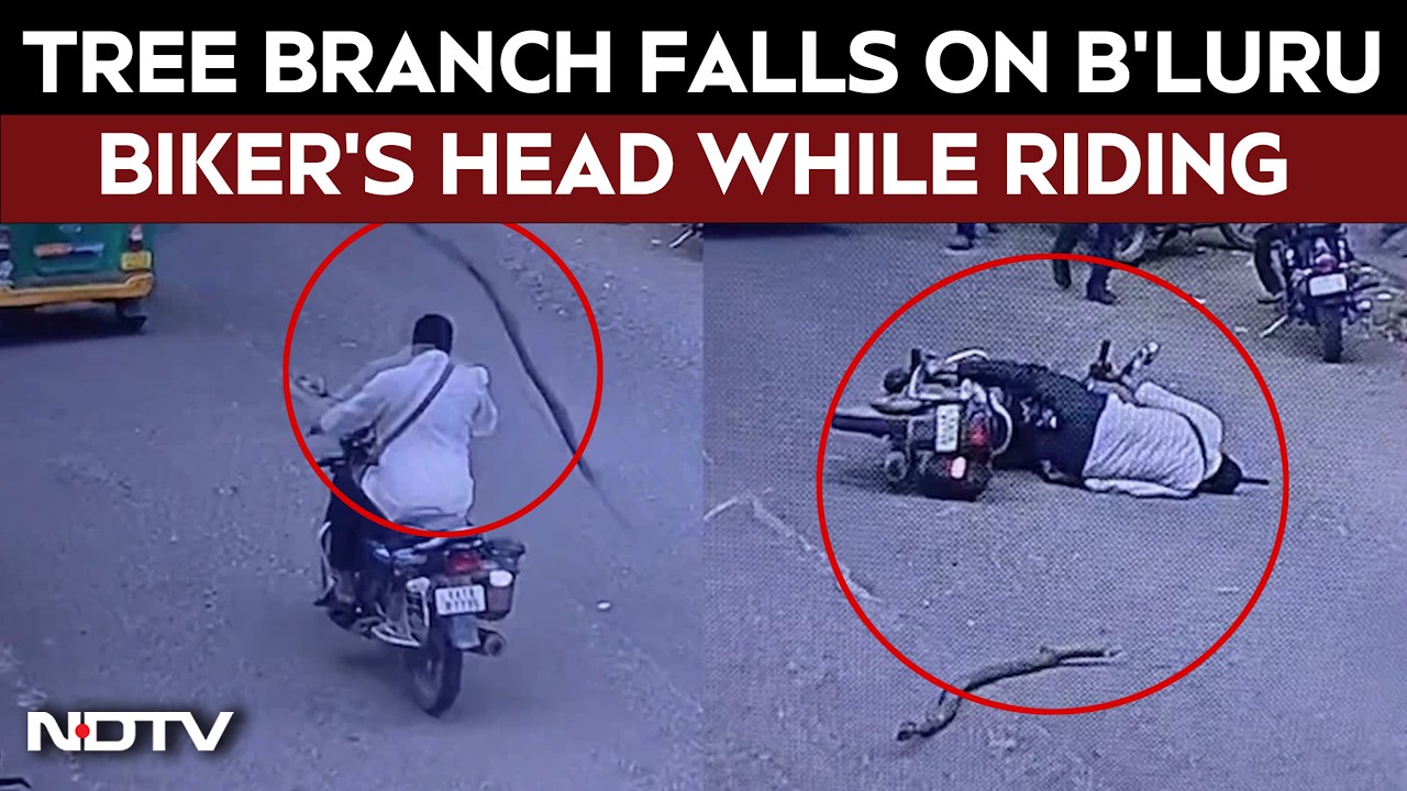 Viral Video | Tree Branch Falls On Bengaluru Biker's Head While Riding Helmetless