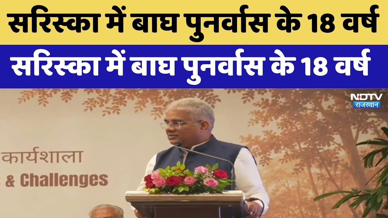 Sariska Tiger Reserve: सरिस्का में बाघ पुनर्वास के 18 वर्ष पूरे, भूपेंद्र यादव ने किया शुभारंभ। Top