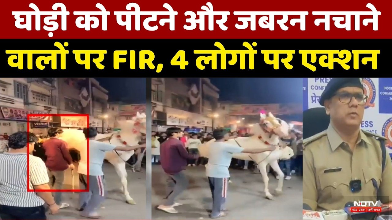 Horse Cruelty FIR: घोड़ी को पीटने और जबरन नचाने वालों पर FIR, 4 लोगों पर Action। Top Breaking News