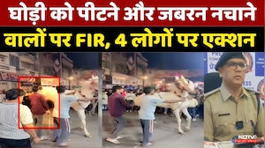 Horse Cruelty FIR: घोड़ी को पीटने और जबरन नचाने वालों पर FIR, 4 लोगों पर Action। Top Breaking News