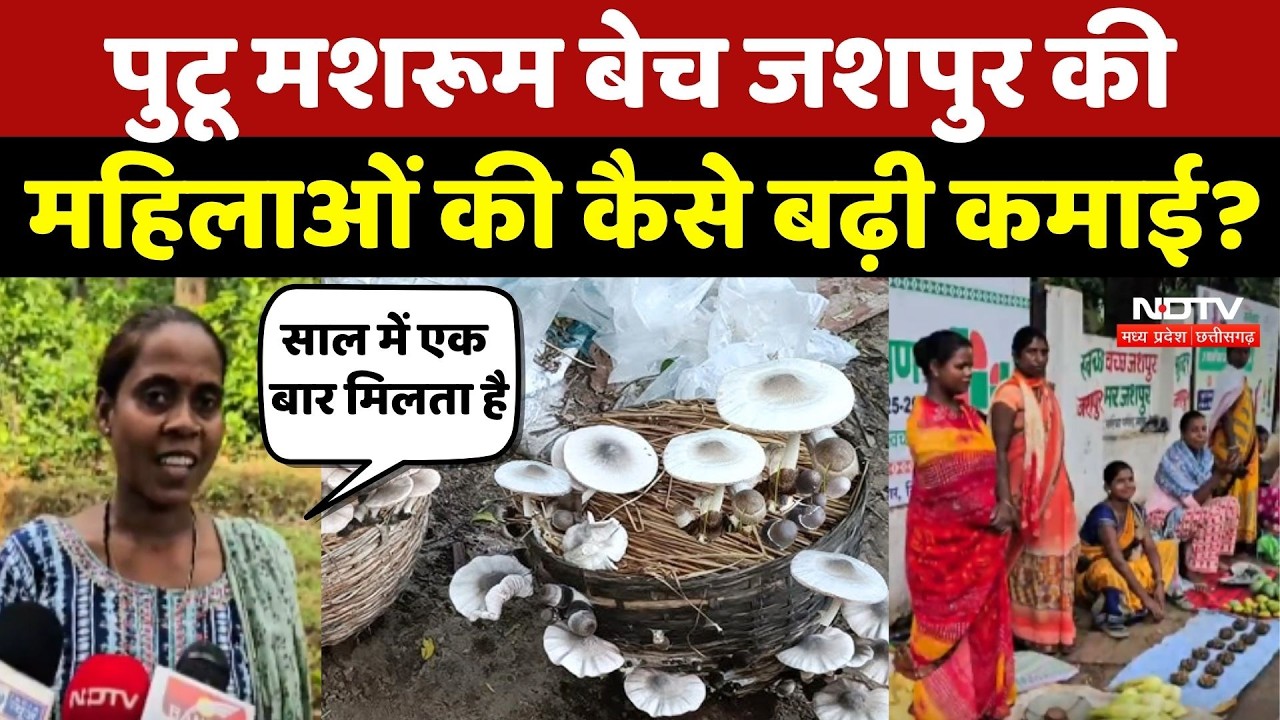 Putu Mushroom बेच Jashpur की महिलाओं की कैसे बढ़ी कमाई?